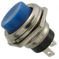 It looks like Button big PBS-26B non-locking OFF-(ON) 2pin, 2A, 250V, blue at a low price.